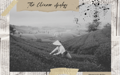 The Chinese Apology